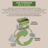 Cialda 50 - BAR COMPOSTABILE - immagine 6